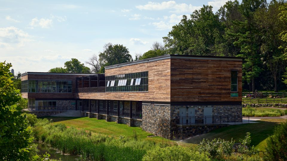 Berks Nature: The Rookery